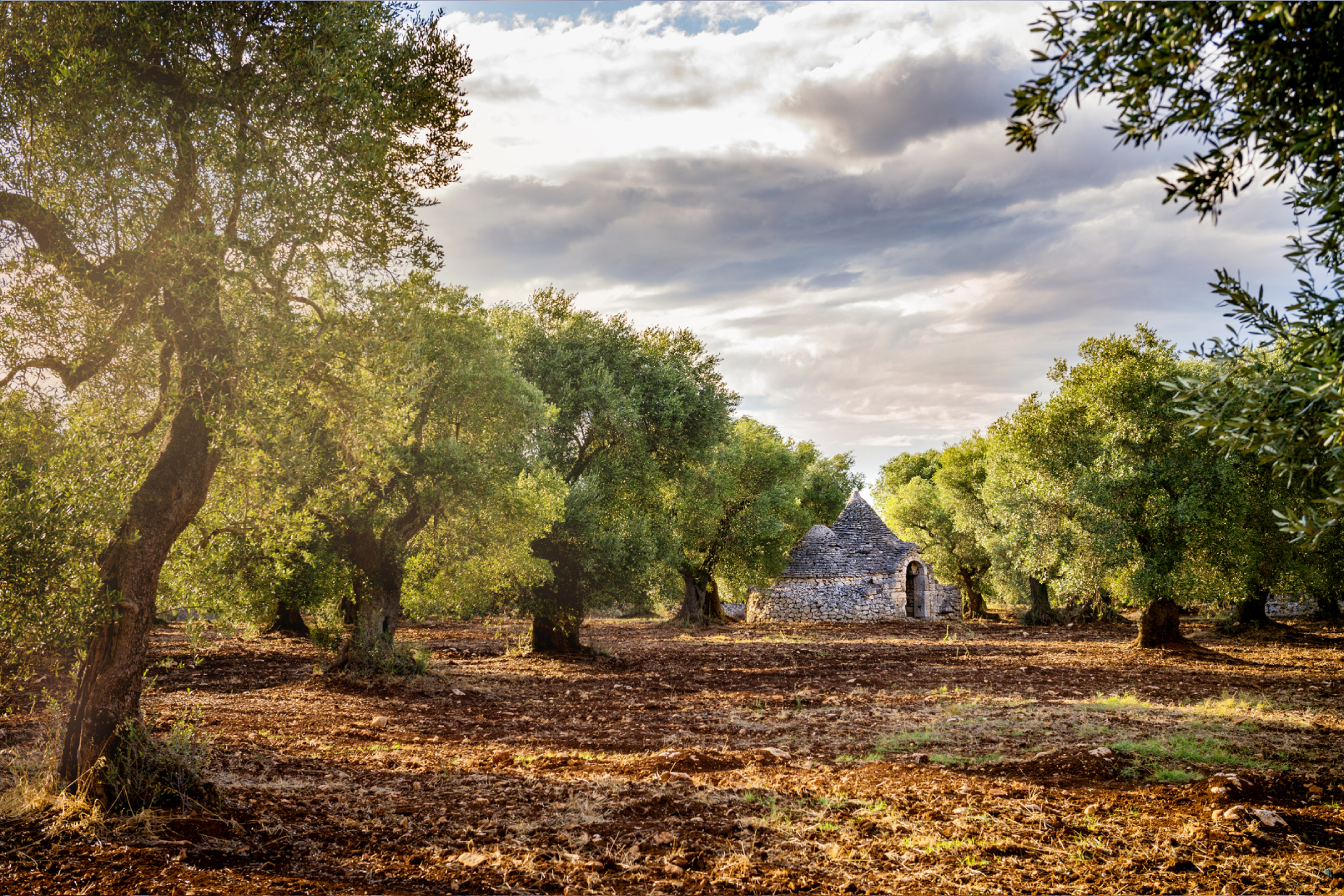 hub - Puglia Regional Hub