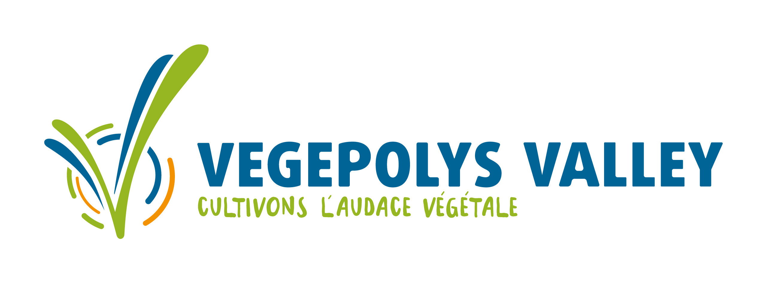 vegepolys-valley